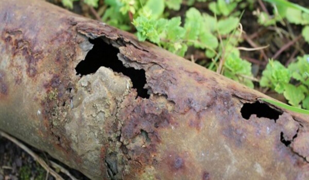 3 Signs That Your Sewer Line May Be Leaking Kravelv