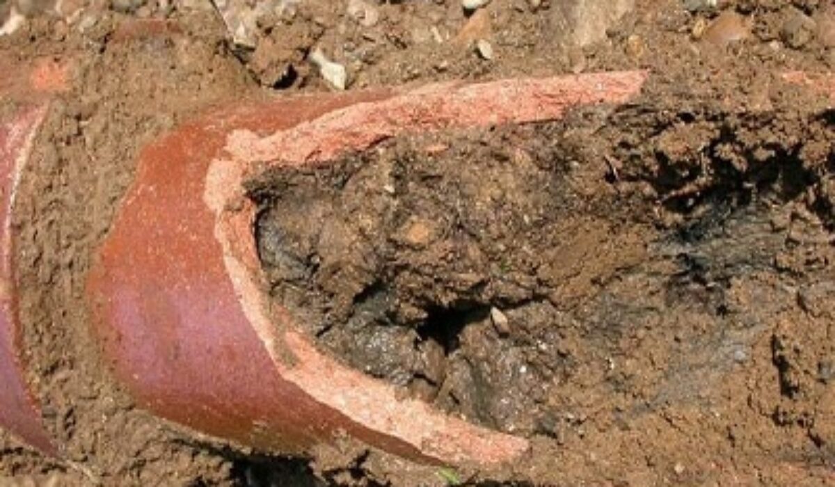 Common Causes For Sewer Line Blockage Kravelv