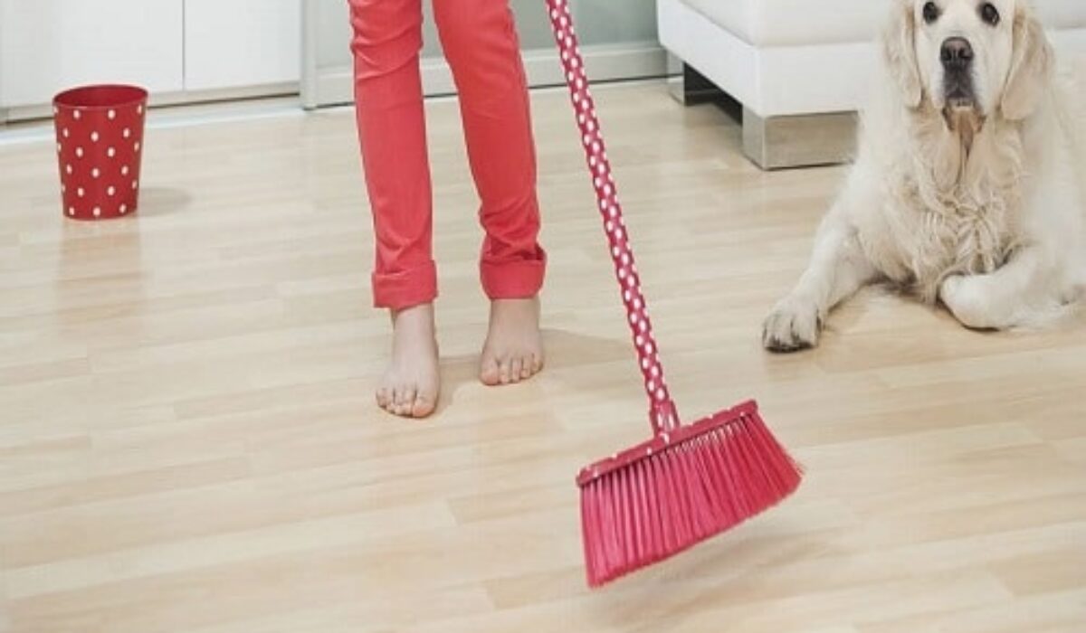 Best Way to Clean Engineered Hardwood Floors Kravelv