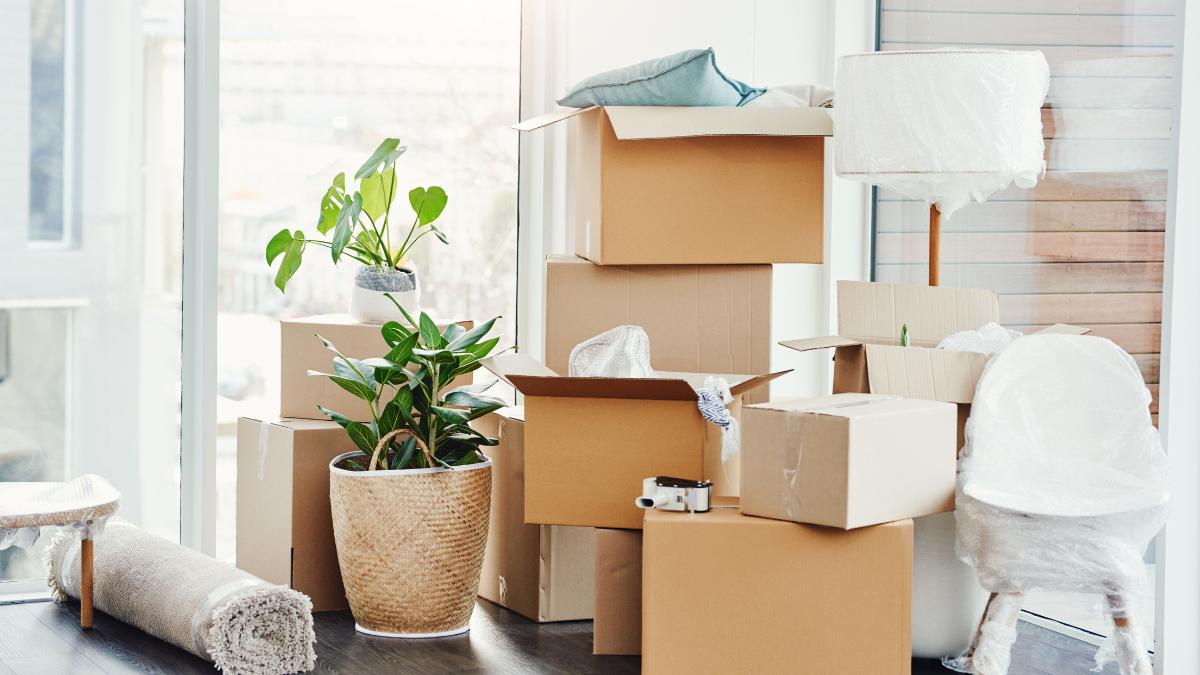 Important Considerations When Moving