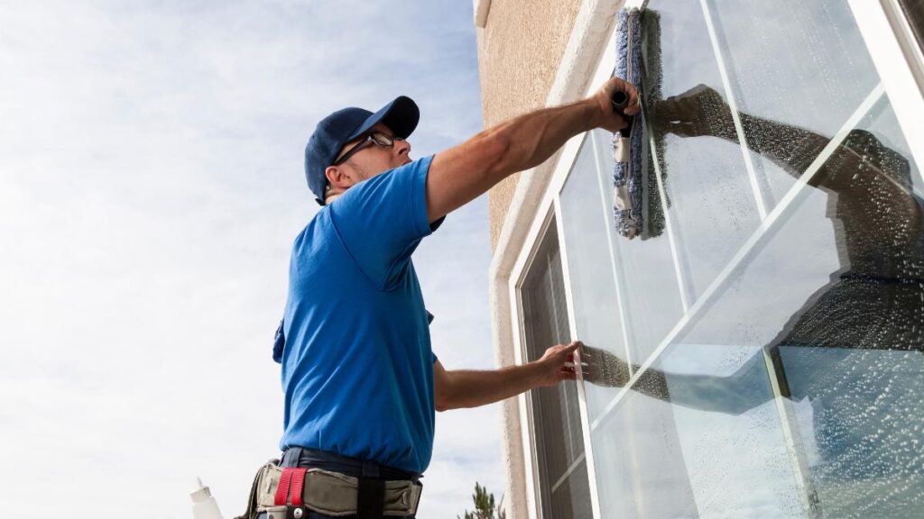 professional window cleaner