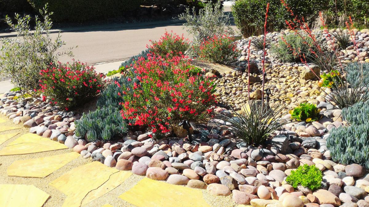 xeriscaping benefits