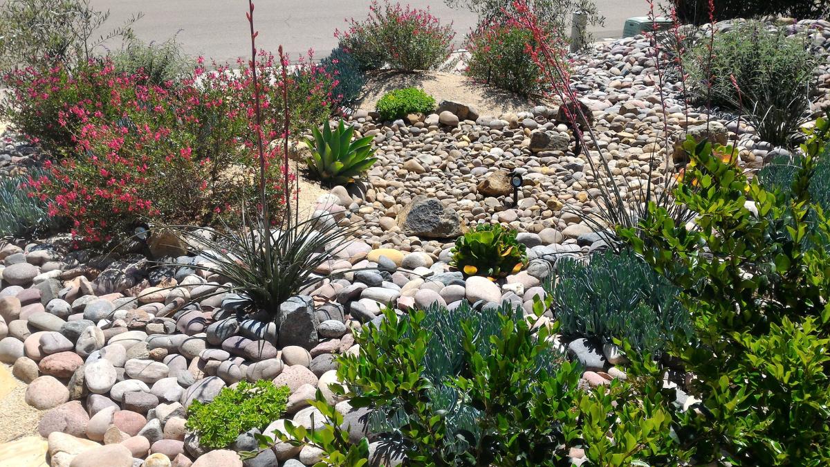xeriscaping vs traditional landscaping