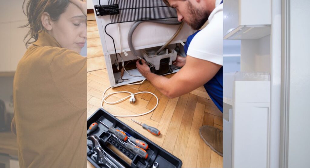 How to Fix Common Fridge Problems Kravelv