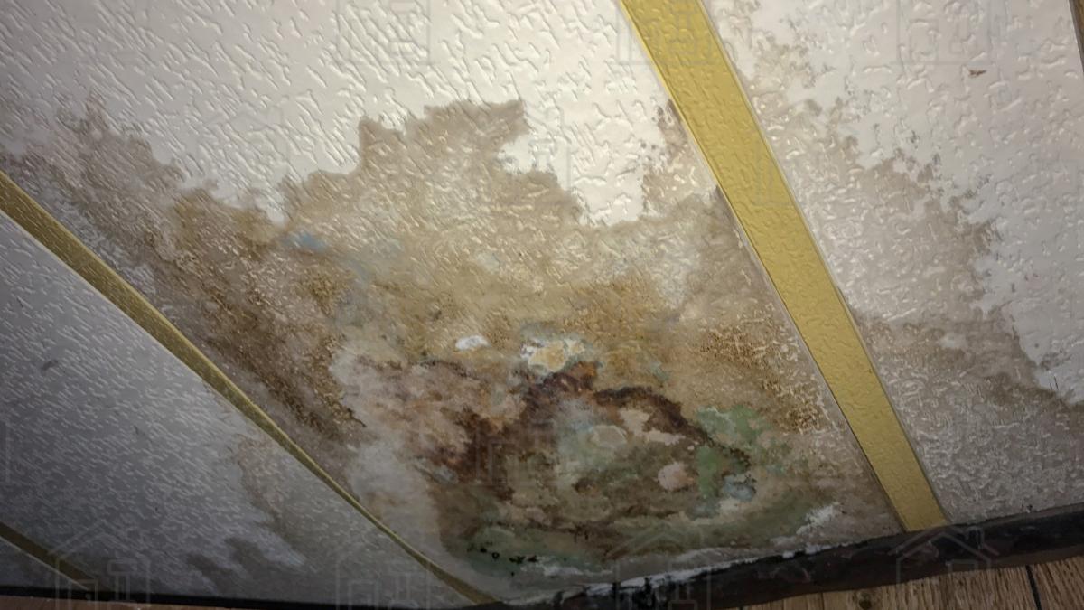 Your Guide to Easily Fixing a Saggy Ceiling