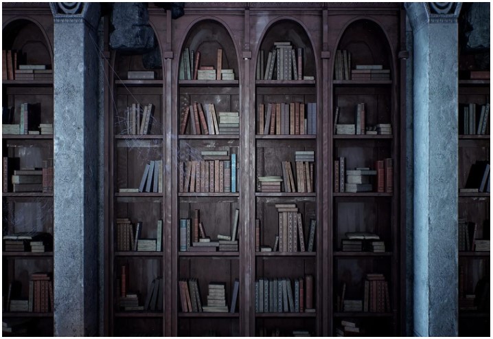 old bookshelf with books and cobweb