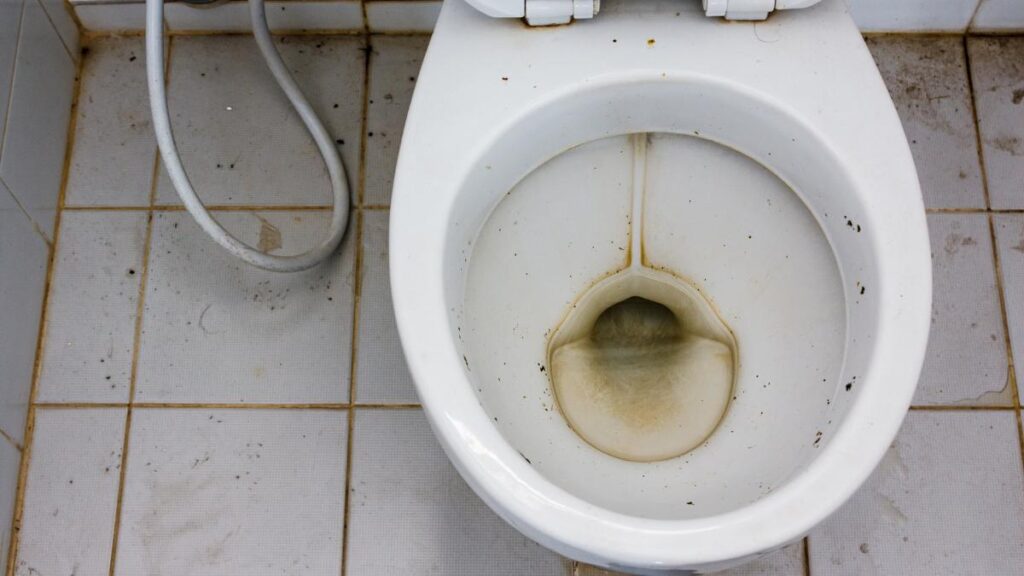 prevent toilet rust