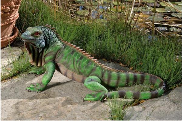 Iggy The Iguana Indoor/Outdoor Garden Statue, Large, 22 Inches Wide, 9 Inches Deep