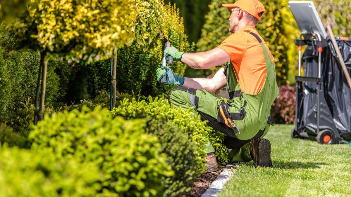 Post Landscaping cleanup