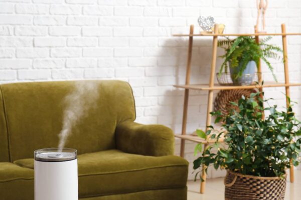 living room with humidifier
