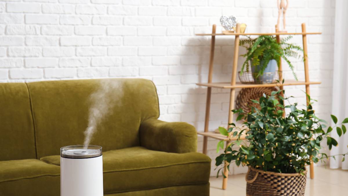 living room with humidifier