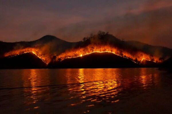Wildfires