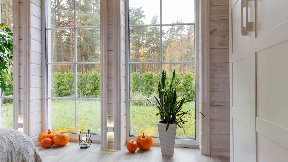 picture window with a view of the lawn