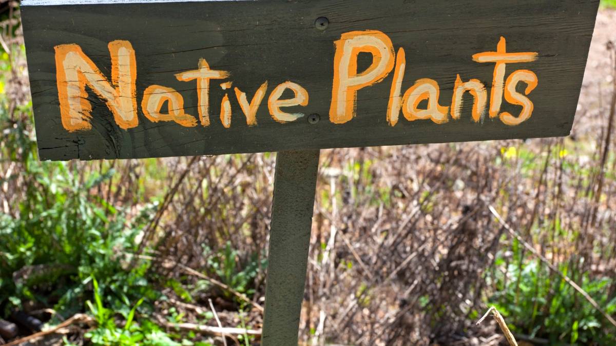 native plants signage