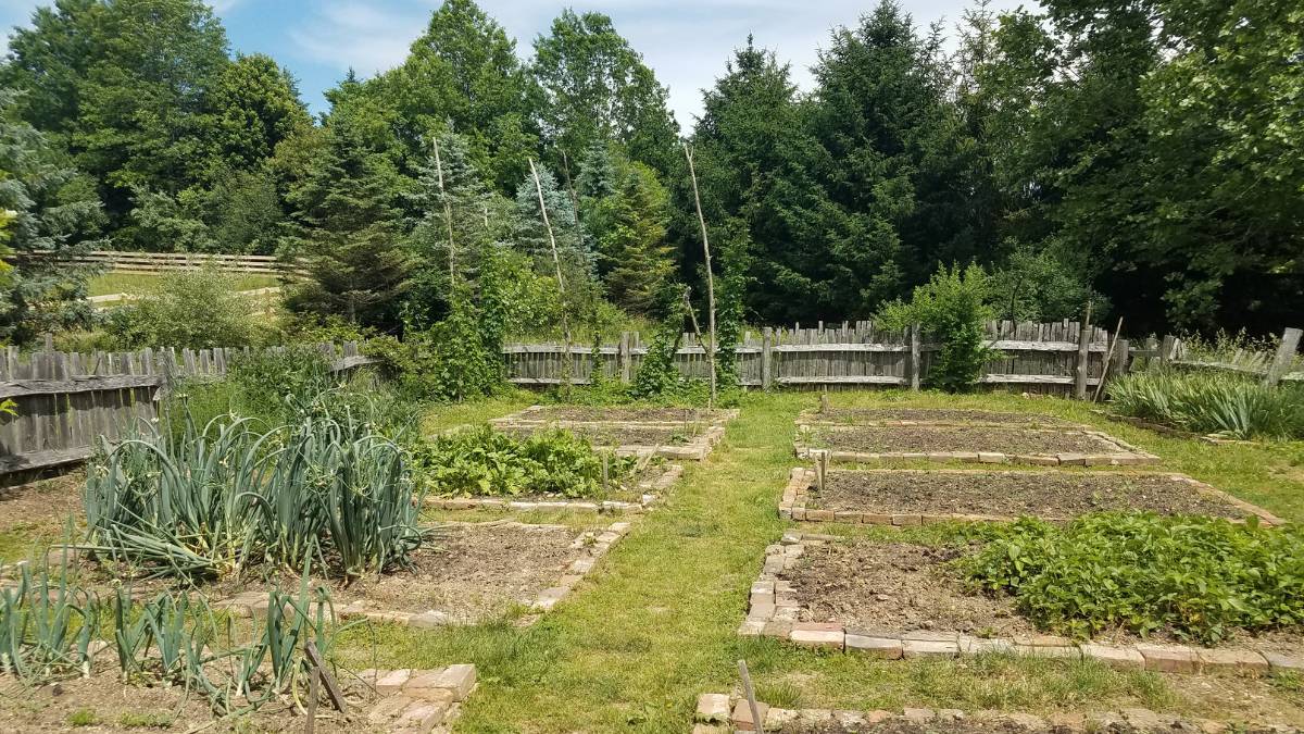 large garden with little plants