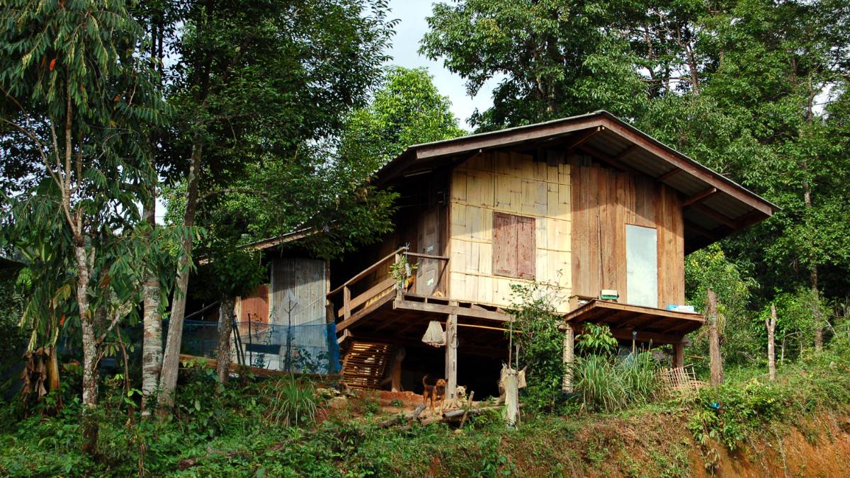 old home in the forest