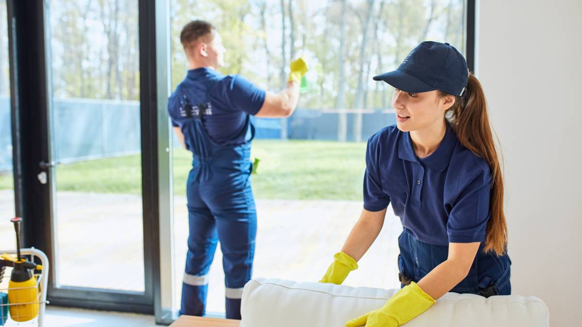 professional house cleaners