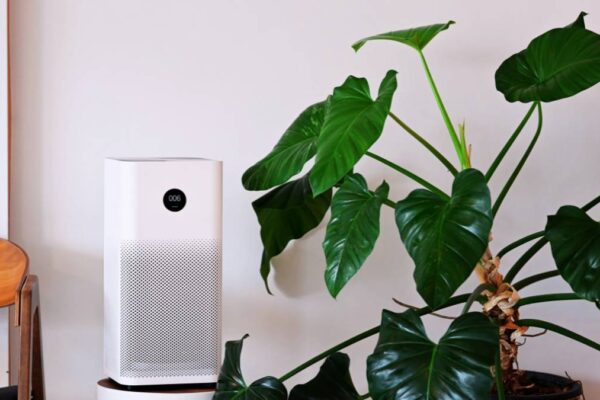 air purifier with plants in a table