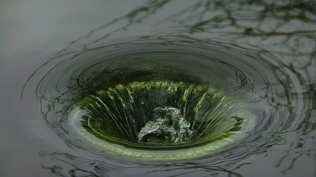 water draining in a sink