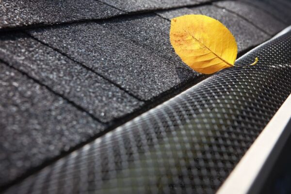 gutter guard