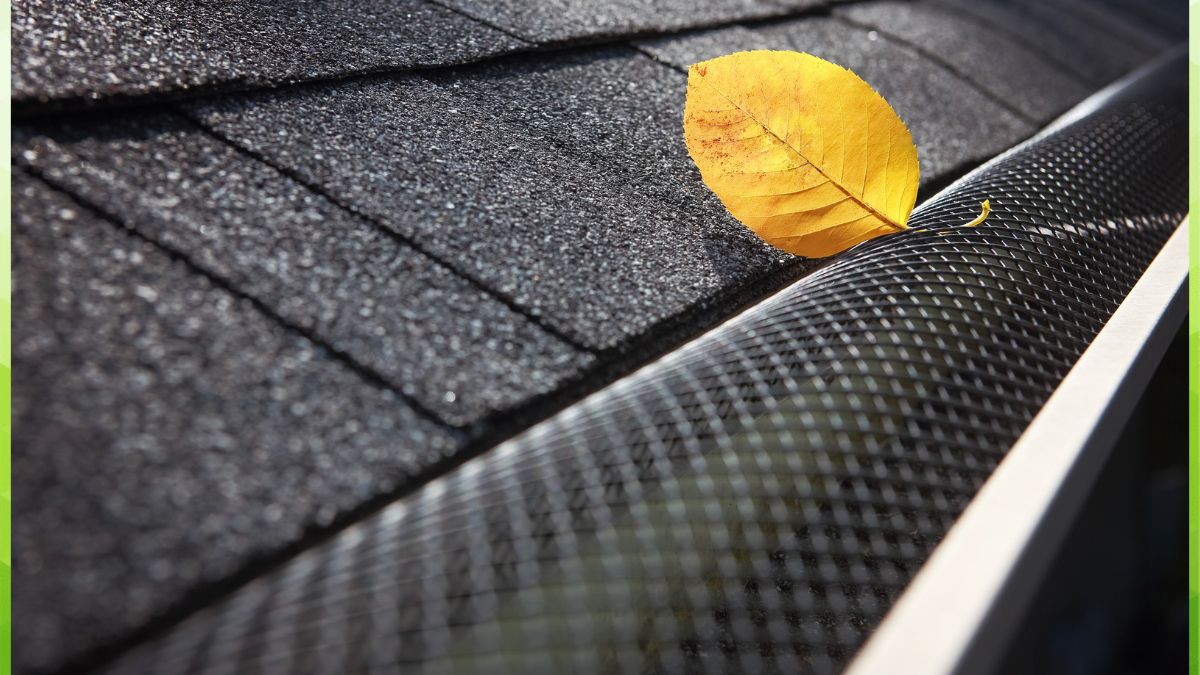 gutter guard